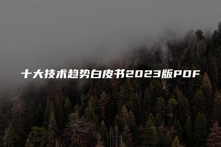 十大技术趋势白皮书2023版PDF