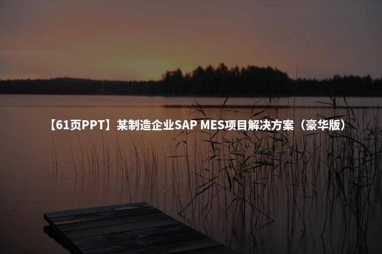 【61页PPT】某制造企业SAP MES项目解决方案（豪华版）