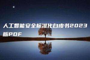 人工智能安全标准化白皮书2023版PDF